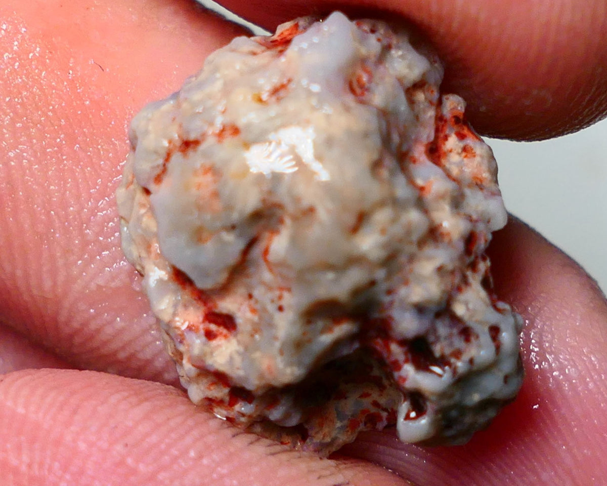 Lightning Ridge Rough Opal 15cts Dark Base Gamble Knobby formation Pinks & Multifires fires 20x17x10mm Auction NS041