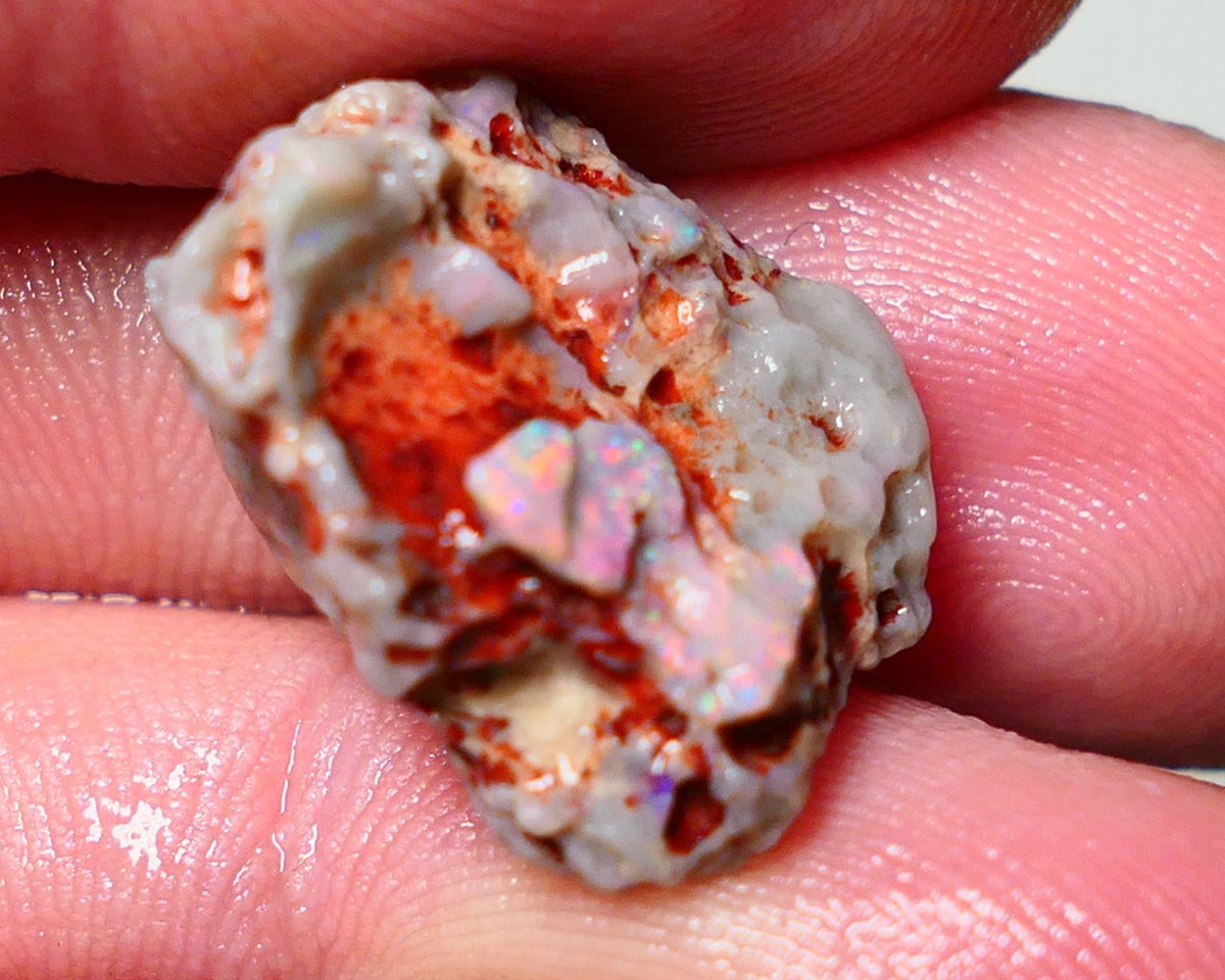 Lightning Ridge Rough Opal 15cts Dark Base Gamble Knobby formation Pinks & Multifires fires 20x17x10mm Auction NS041