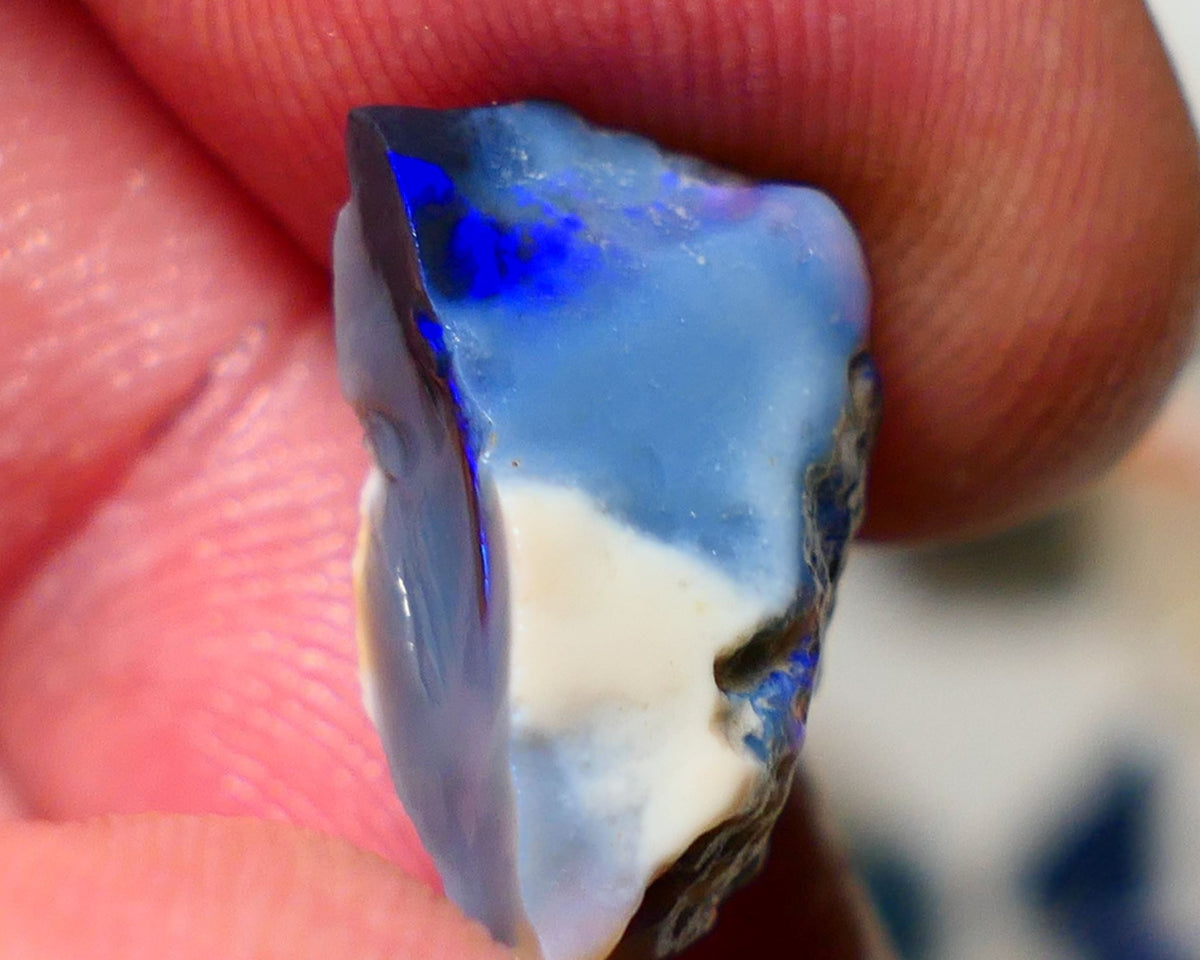 Mulga Rough Opal Gamble 8.25cts Black Base Seam Royal Blue fires to Cut / carve & polish 18x11x7mm Auction NS131