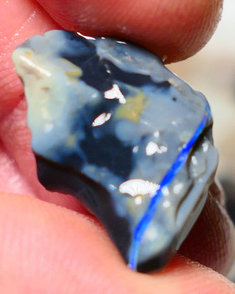 Mulga Rough Opal Gamble 9cts Dark Base Seam Blue fires in vertical bar to Cut / carve & polish 21x15x6mm Auction NS130