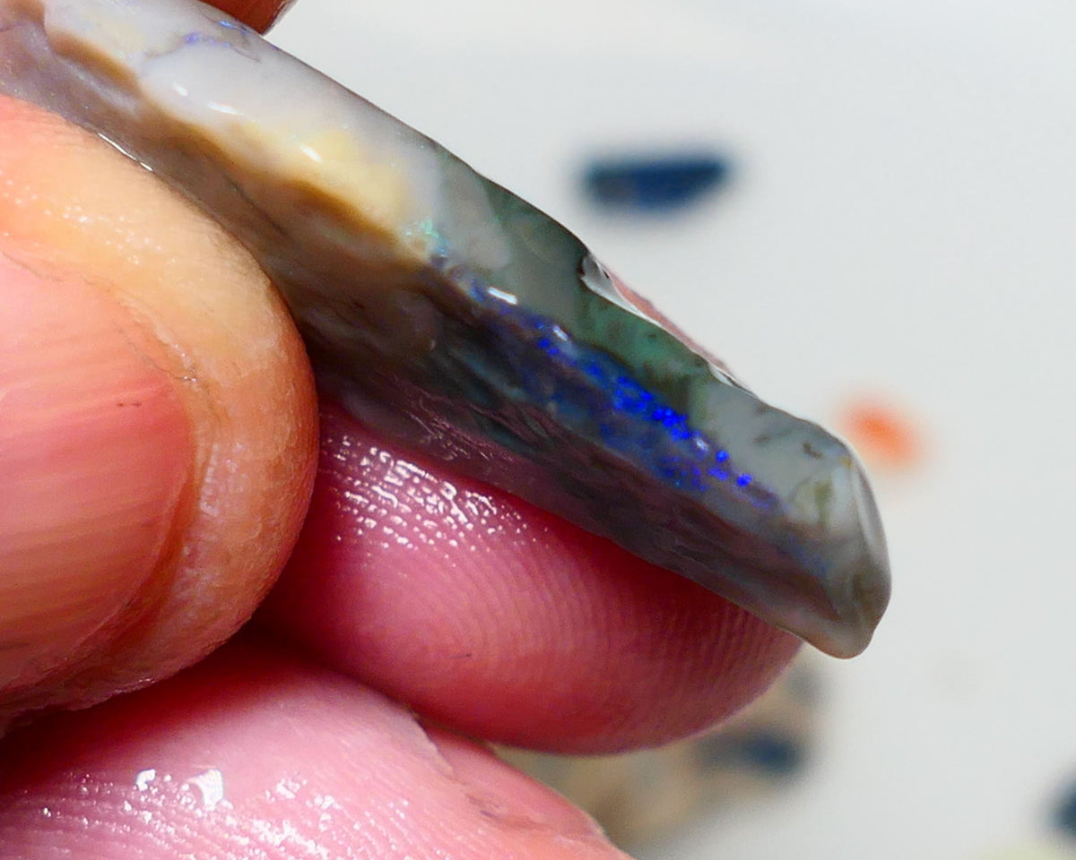 Mulga Rough Opal Gamble 17.75cts Dark Base Seam Blue / Green /orange fires to  cut and explore 32x14x5mm Auction NS078