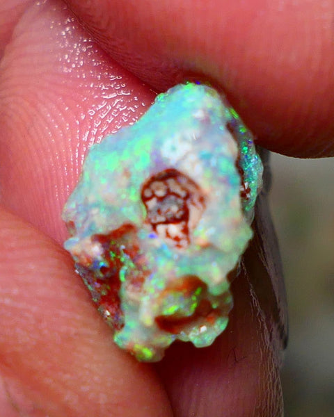 Lightning Ridge Rough Opal 3.75cts Untouched Crystal Knobby rough with Gorgeous Exotic Multicolours 14x9x7mm Auction NS074