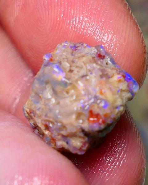 Lightning Ridge Rough Opal 10cts Dark Base Gamble Knobby formation Nice blue fires 16x13x10mm Auction NS073