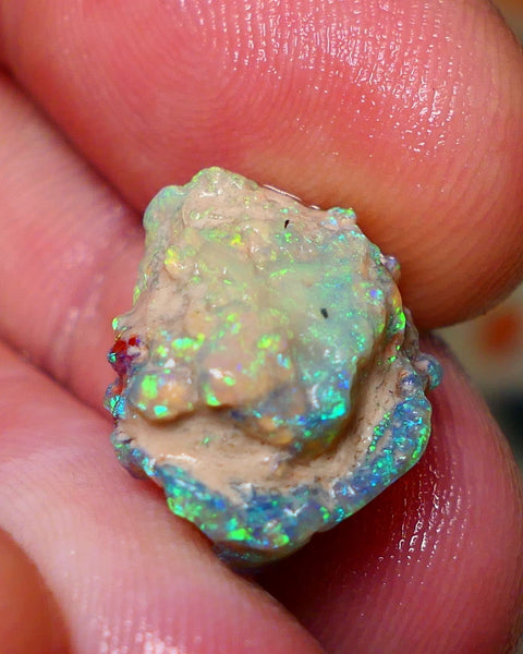 Lightning Ridge Rough Multicolour Knobby parcel . This weeks auctions Little Preview