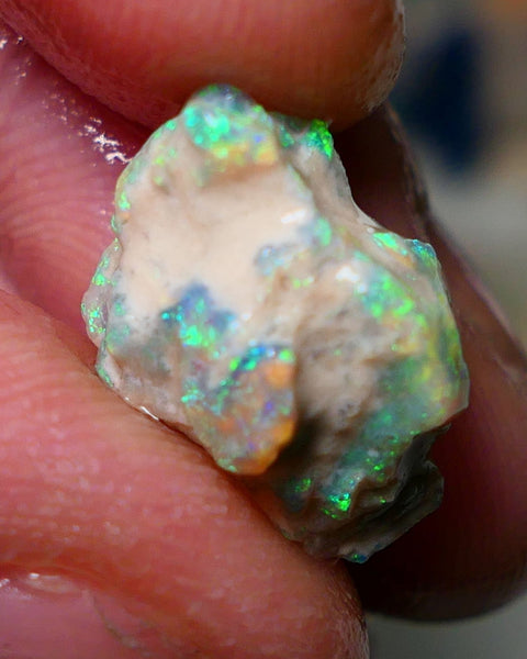 Lightning Ridge Rough Opal 7.25cts Untouched Knobby rough with Gorgeous Multicolours to explore 16x10x10mm Auction NS068