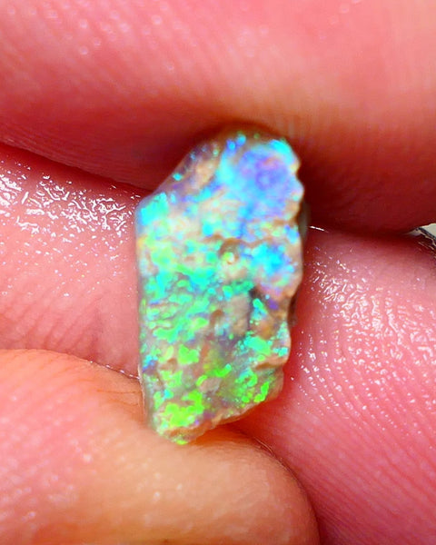 Lightning Ridge Rough Opal 2.50cts Gemmy Seam rough with Gorgeous Vivid & Vibrant Multicolours 14x7x4mm Auction NS067