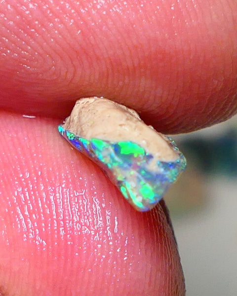 Lightning Ridge Rough Opal 2.50cts Gemmy Seam rough with Gorgeous Vivid & Vibrant Multicolours 14x7x4mm Auction NS067