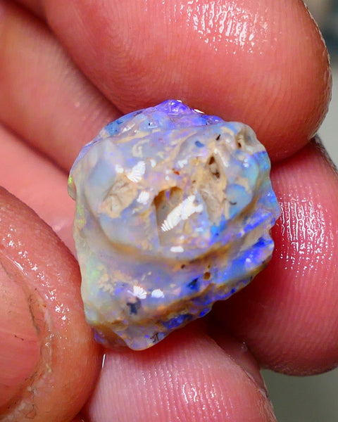 Lightning Ridge Rough Opal 12cts Dark Base Crystal Gamble Knobby formation blue dominant fires with flashes of yellows 19x10x10mm Auction NS063