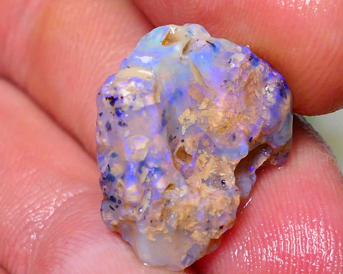 Lightning Ridge Rough Opal 12cts Dark Base Crystal Gamble Knobby formation blue dominant fires with flashes of yellows 19x10x10mm Auction NS063