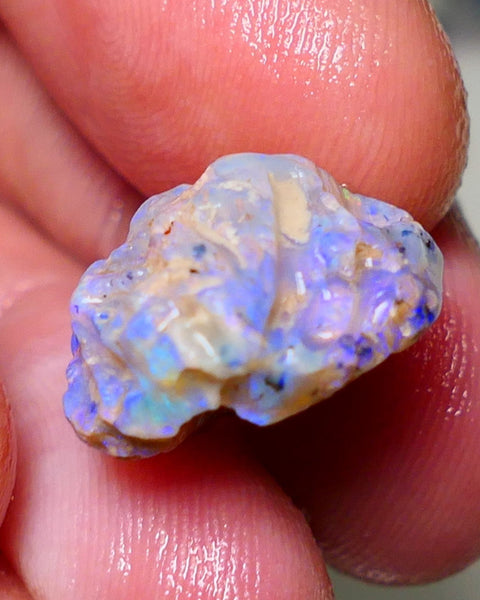 Lightning Ridge Rough Opal 12cts Dark Base Crystal Gamble Knobby formation blue dominant fires with flashes of yellows 19x10x10mm Auction NS063