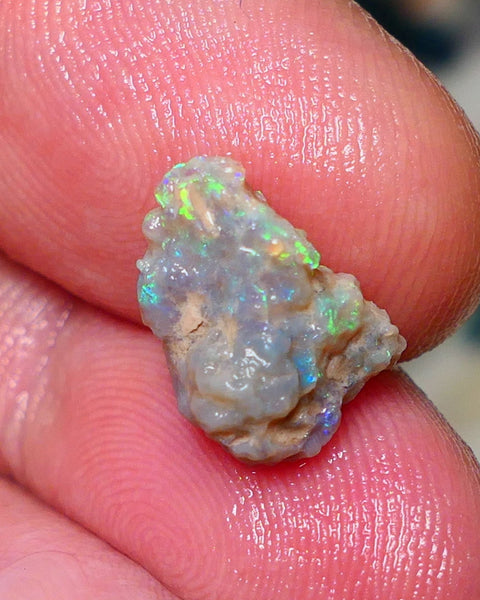 Lightning Ridge Rough Opal 3.60cts Untouched Knobby rough with Gorgeous Multicolours to explore 13x9x7mm Auction NS062