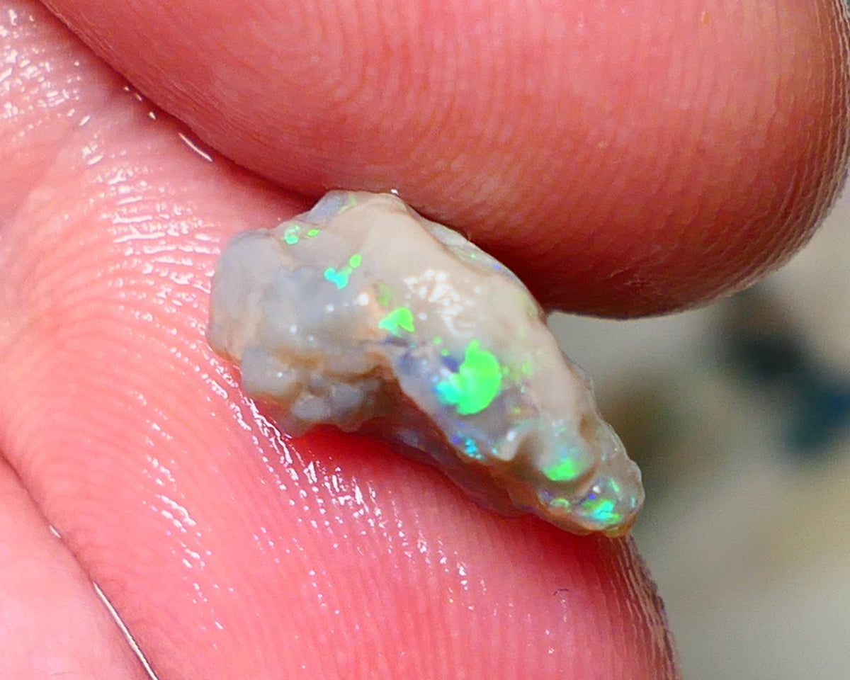 Lightning Ridge Rough Opal 3.60cts Untouched Knobby rough with Gorgeous Multicolours to explore 13x9x7mm Auction NS062