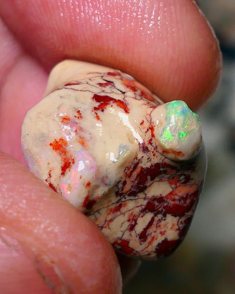 Lightning Ridge Rough Opal 13.50cts Untouched Dark/Crystal Seam formation Pink / Yellow/ orange dominant Multicolours 22x16x9mm NS059