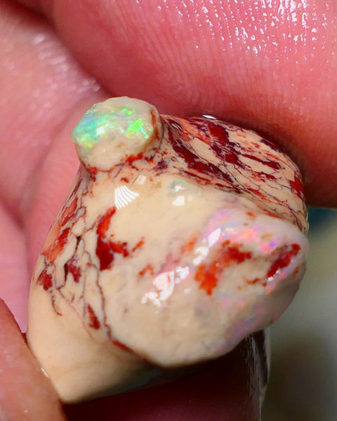 Lightning Ridge Rough Opal 13.50cts Untouched Dark/Crystal Seam formation Pink / Yellow/ orange dominant Multicolours 22x16x9mm NS059