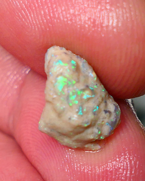 Lightning Ridge Rough Opal 3.75cts Untouched Knobby rough with Nice Multicolours to explore 13x8x7mm Auction NS081