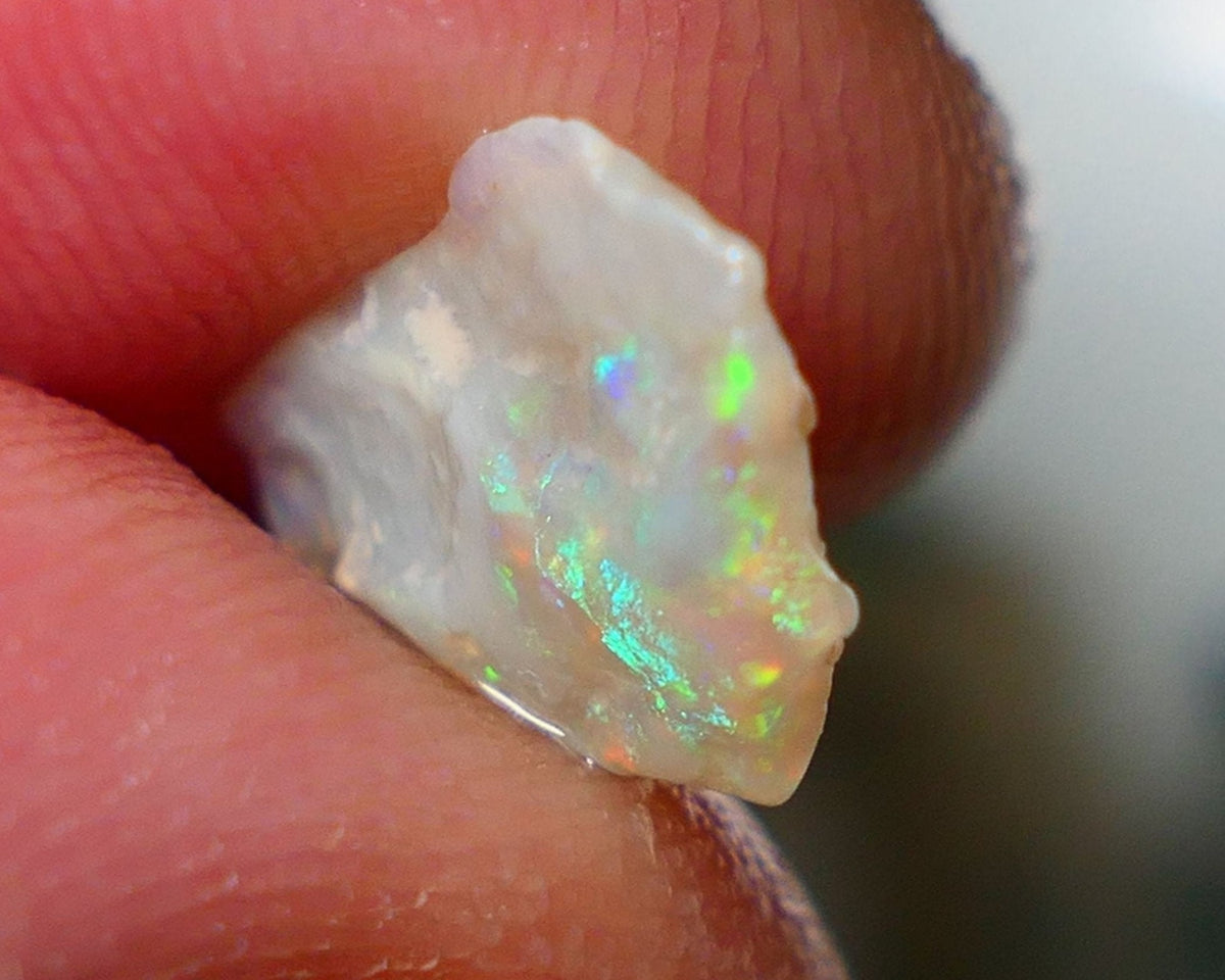 Opal Fever Mate Auction