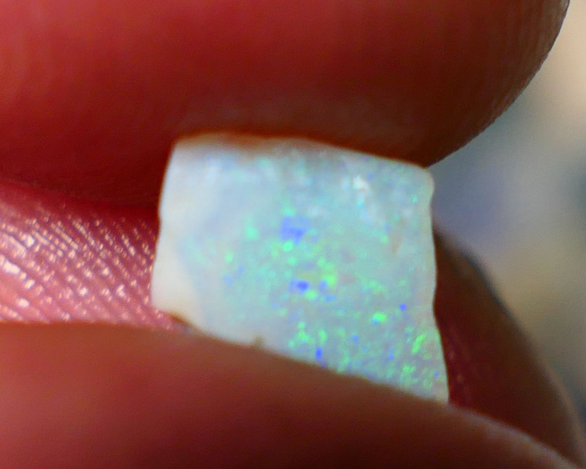 Lightning Ridge Opal Dark Crystal Base Seam Rough Rub 0.60cts Gorgeous Nice Green Blue dominant fires 7x6x1.5mm NS129