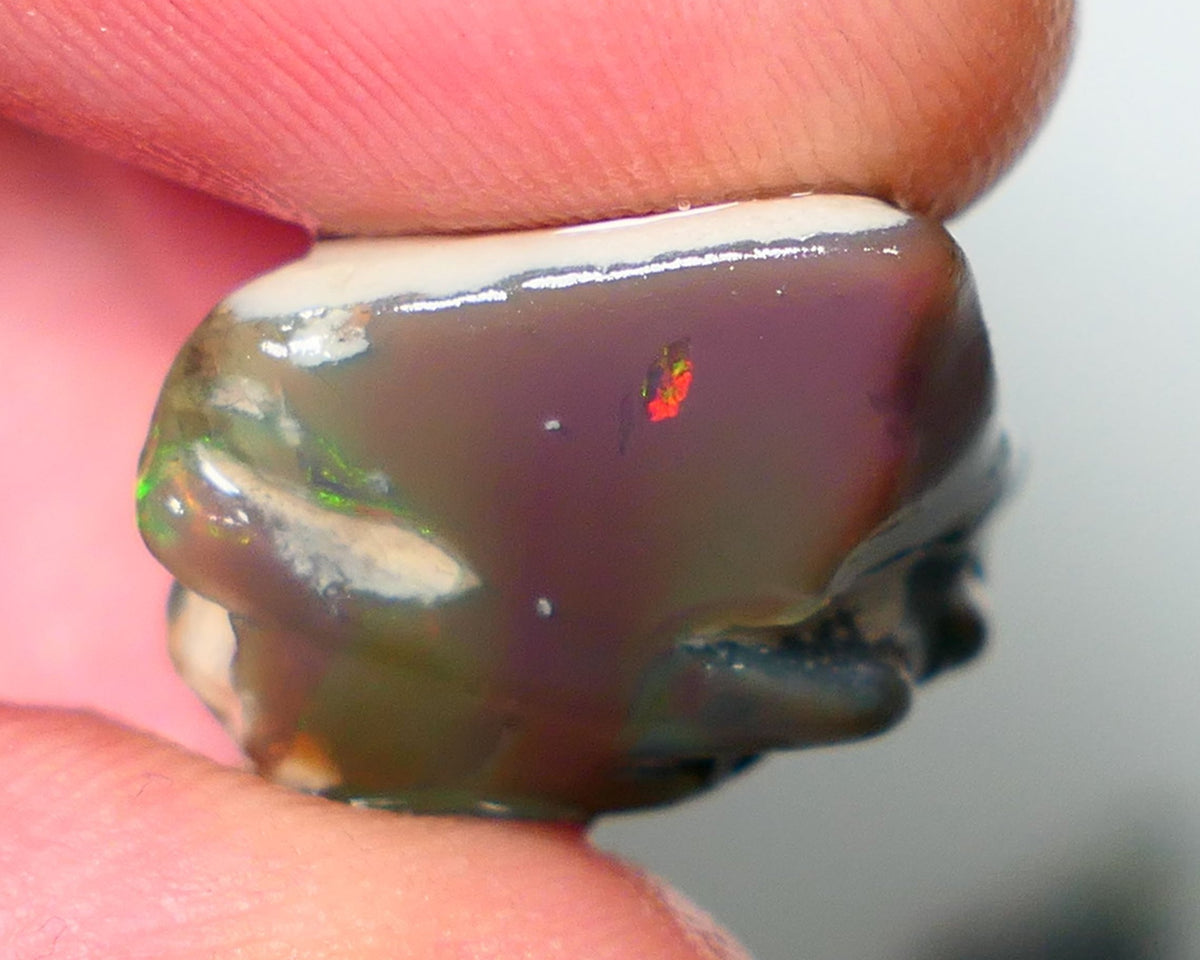 Lightning Ridge Rough Opal 20cts Nice sized Green dominant with red flashes on Dark Seam Gamble 19x18x12mm NS127