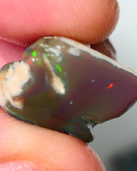 Lightning Ridge Rough Opal 20cts Nice sized Green dominant with red flashes on Dark Seam Gamble 19x18x12mm NS127