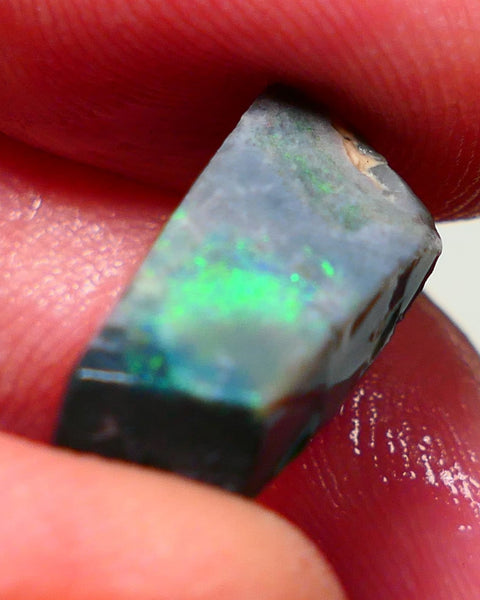 Lightning Ridge Rough / rub Opal 6cts Black Base Seam Green dominant colours 17x8x6mm Auction NS113