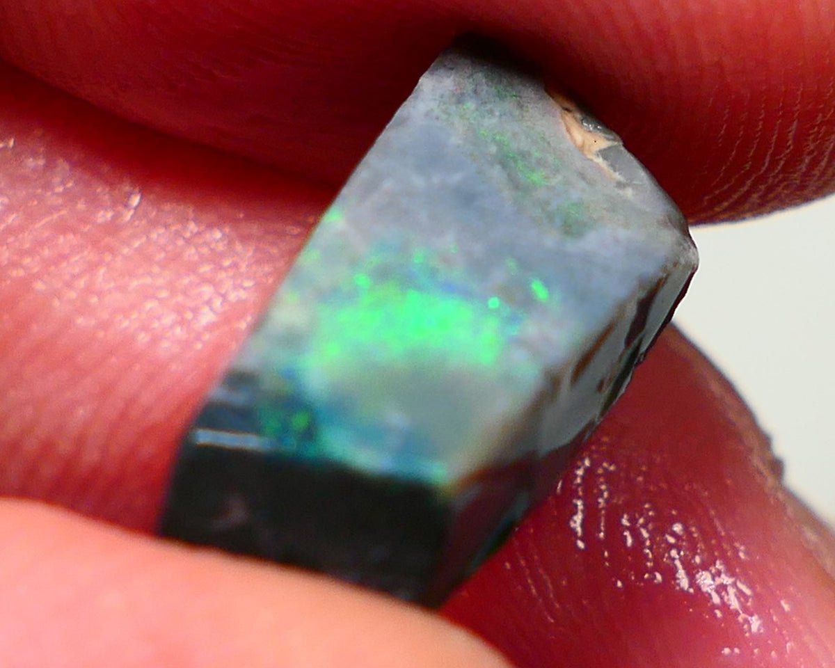 Lightning Ridge Rough / rub Opal 6cts Black Base Seam Green dominant colours 17x8x6mm Auction NS113