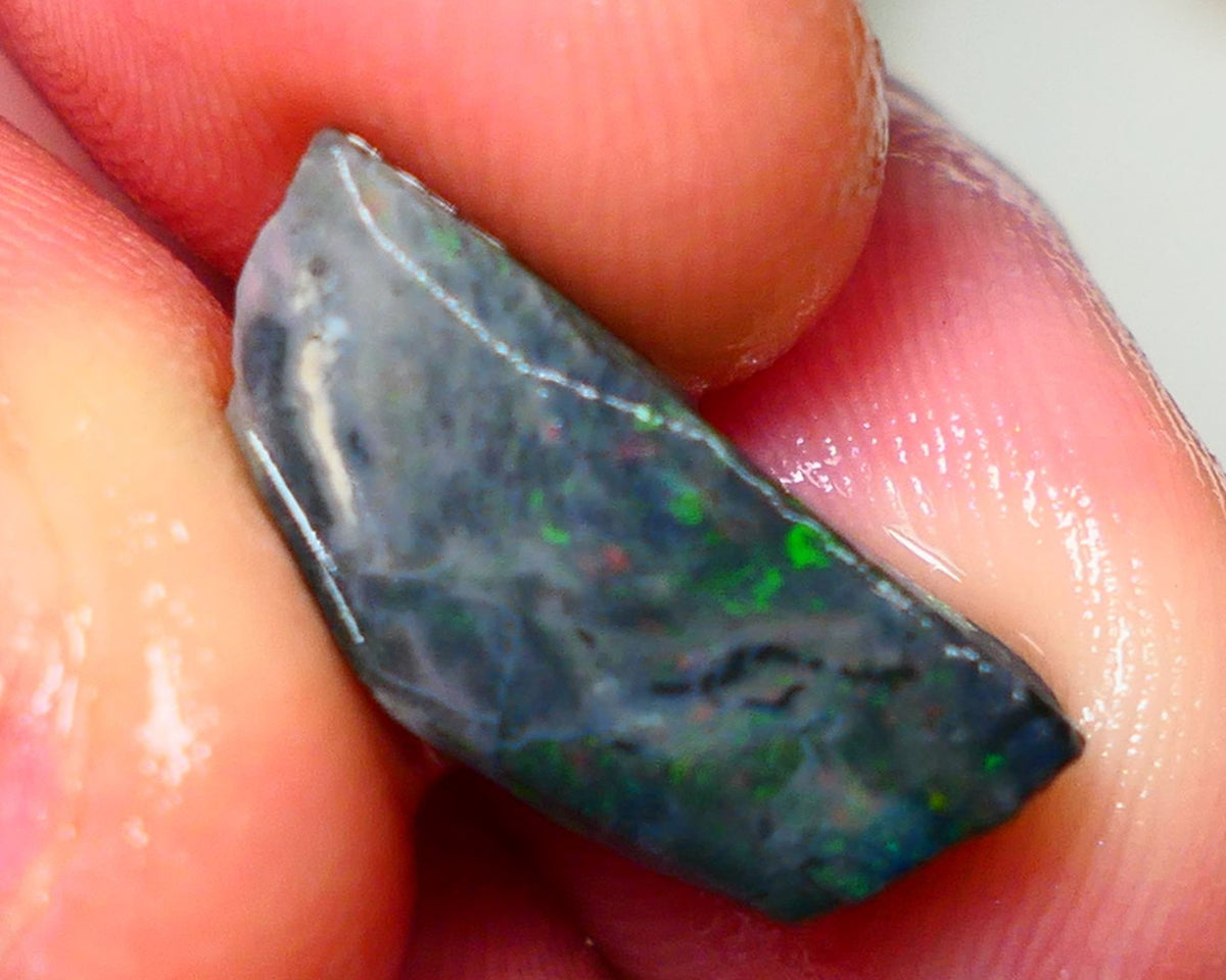 Lightning Ridge Rough / rub Opal 6cts Black Base Seam Green dominant colours 17x8x6mm Auction NS113