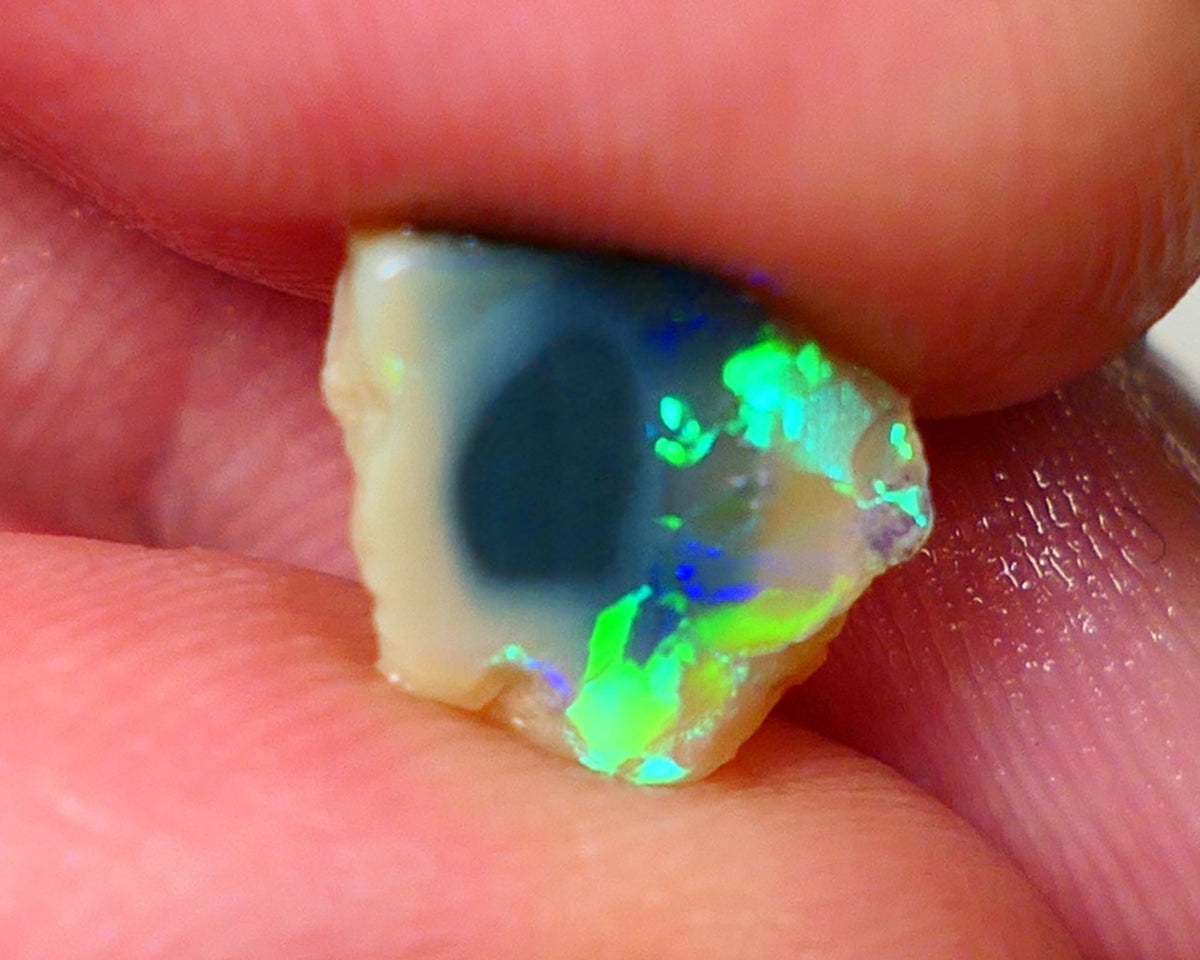 Lightning Ridge Rough / Rub knobby opal Miners Bench® 1.85cts Exotic Bright Yellow/Green/Blue/Teal Fires 10x9x3mm AUCTION NS091