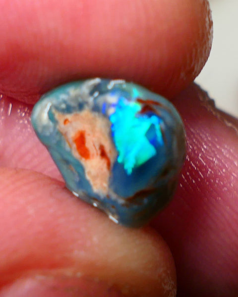 Lightning Ridge Rough / Rub opal Miners Bench® 3.40cts Very Bright Blue/Teal Fires 11x10x5mm AUCTION NS089