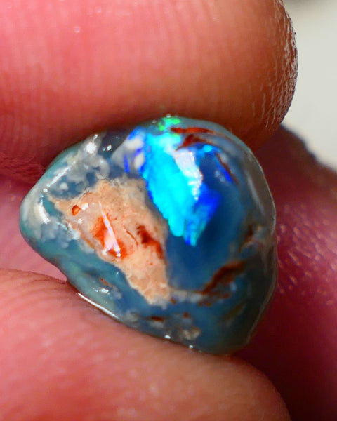 Lightning Ridge Rough / Rub opal Miners Bench® 3.40cts Very Bright Blue/Teal Fires 11x10x5mm AUCTION NS089