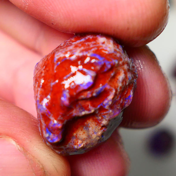 Lightning Ridge Rough Opal 18cts Dark Base Gamble Knobby formation Nice blue fires 20x15x12mm NS110