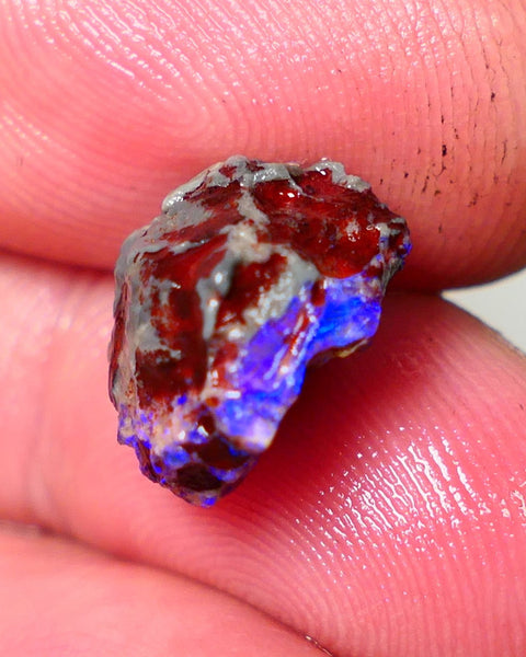 Lightning Ridge Rough Opal 5cts Dark Base Gamble Knobby formation Gorgeous blue fires 13x10x9mm Auction NS109