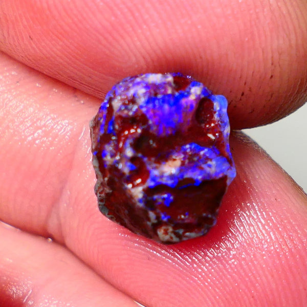 Lightning Ridge Rough Opal 5cts Dark Base Gamble Knobby formation Gorgeous blue fires 13x10x9mm Auction NS109