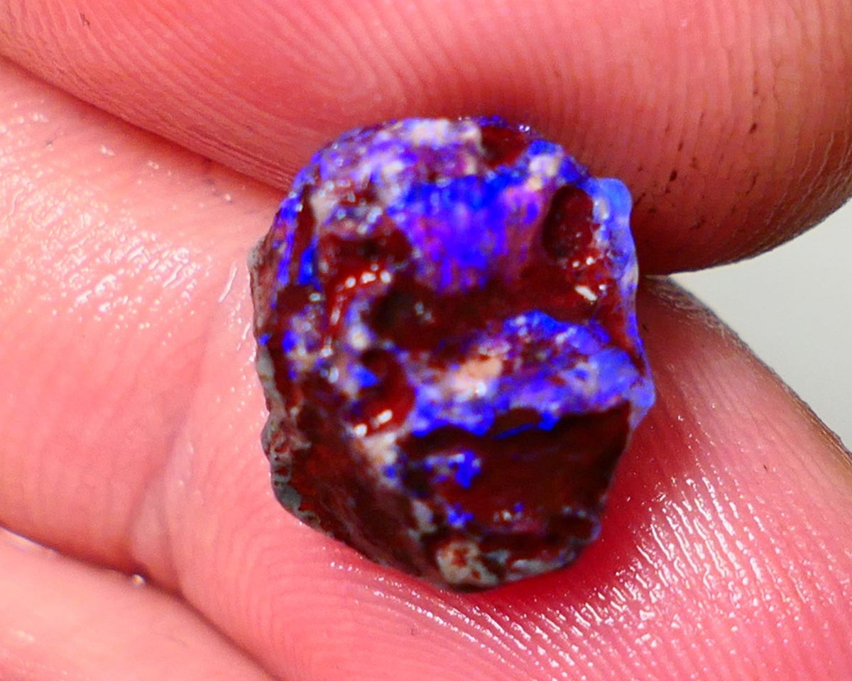 Lightning Ridge Rough Opal 5cts Dark Base Gamble Knobby formation Gorgeous blue fires 13x10x9mm Auction NS109