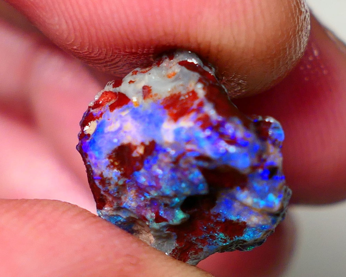 Lightning Ridge Rough Opal 7.75cts Dark Base Gamble Knobby formation Gorgeous blue fires 14x14x9mm Auction NS106