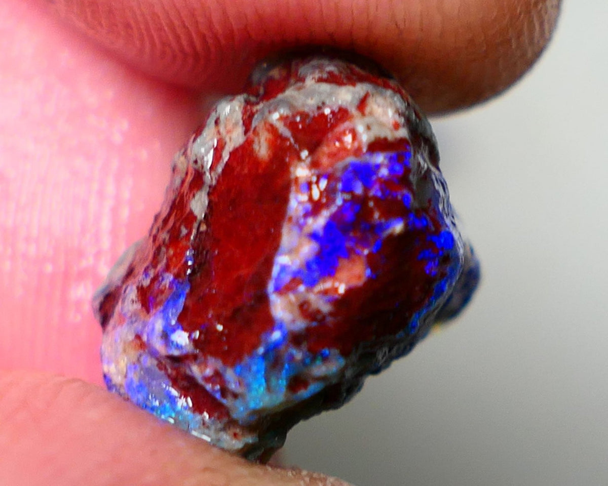 Lightning Ridge Rough Opal 7.75cts Dark Base Gamble Knobby formation Gorgeous blue fires 14x14x9mm Auction NS106