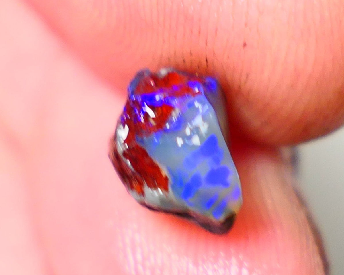 Lightning Ridge Rough / Rub opal Miners Bench® Dar Crystal 2.75cts Bright Blue Fires 9x9x6mm AUCTION NS105