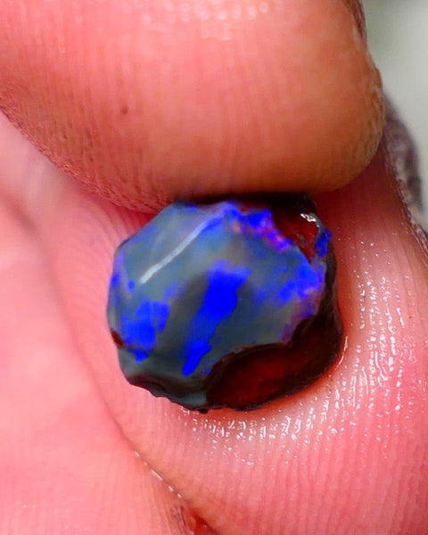 Lightning Ridge Rough / Rub opal Miners Bench® Dar Crystal 2.75cts Bright Blue Fires 9x9x6mm AUCTION NS105