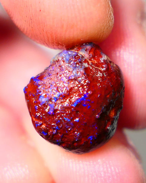 Lightning Ridge Rough Opal 11.50cts Dark Base Gamble Knobby formation Nice blue fires 15x13x10mm Auction NS104