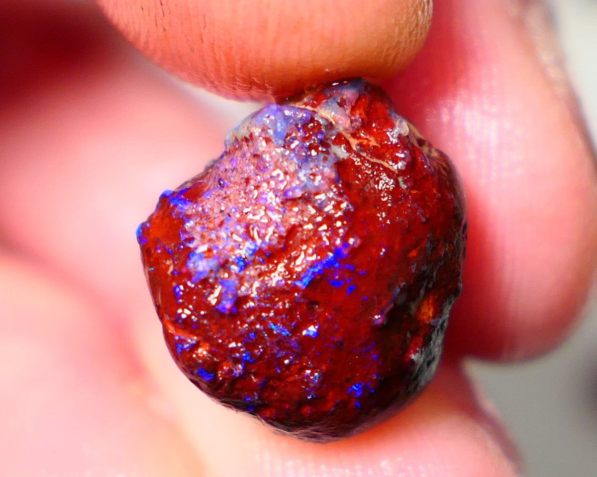 Lightning Ridge Rough Opal 11.50cts Dark Base Gamble Knobby formation Nice blue fires 15x13x10mm Auction NS104