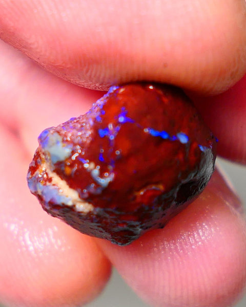 Lightning Ridge Rough Opal 11.50cts Dark Base Gamble Knobby formation Nice blue fires 15x13x10mm Auction NS104