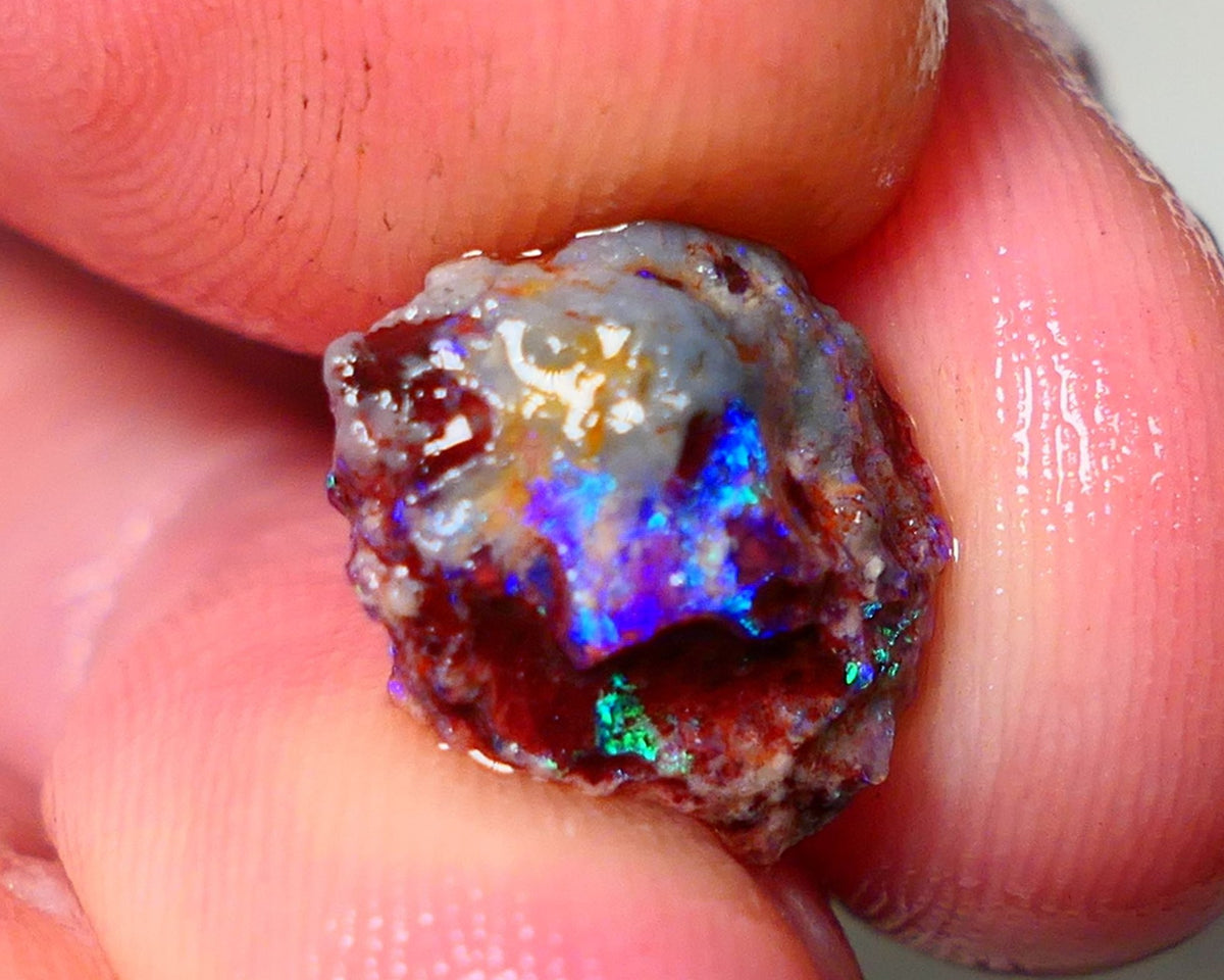 Lightning Ridge Rough Opal 3.50cts Dark Base Gamble Knobby formation Nice blue/Green fires 12x10x7mm Auction NS103