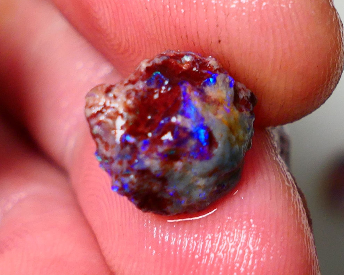 Lightning Ridge Rough Opal 3.50cts Dark Base Gamble Knobby formation Nice blue/Green fires 12x10x7mm Auction NS103