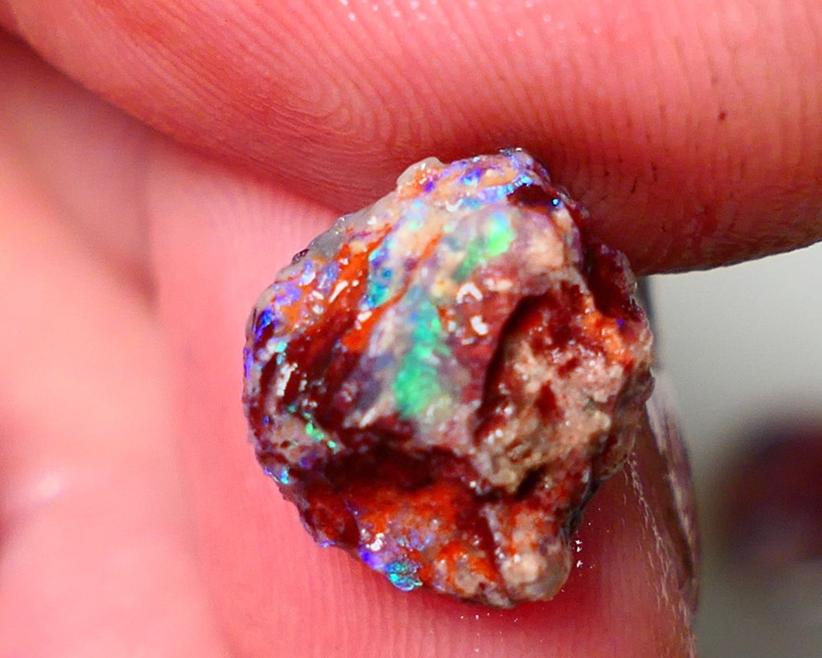 Lightning Ridge Rough Opal 3.50cts Dark Base Gamble Knobby formation Nice blue/Green fires 12x10x7mm Auction NS103