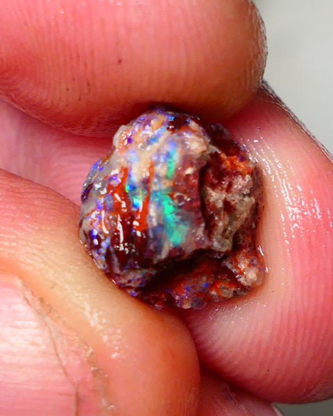 Lightning Ridge Rough Opal 3.50cts Dark Base Gamble Knobby formation Nice blue/Green fires 12x10x7mm Auction NS103