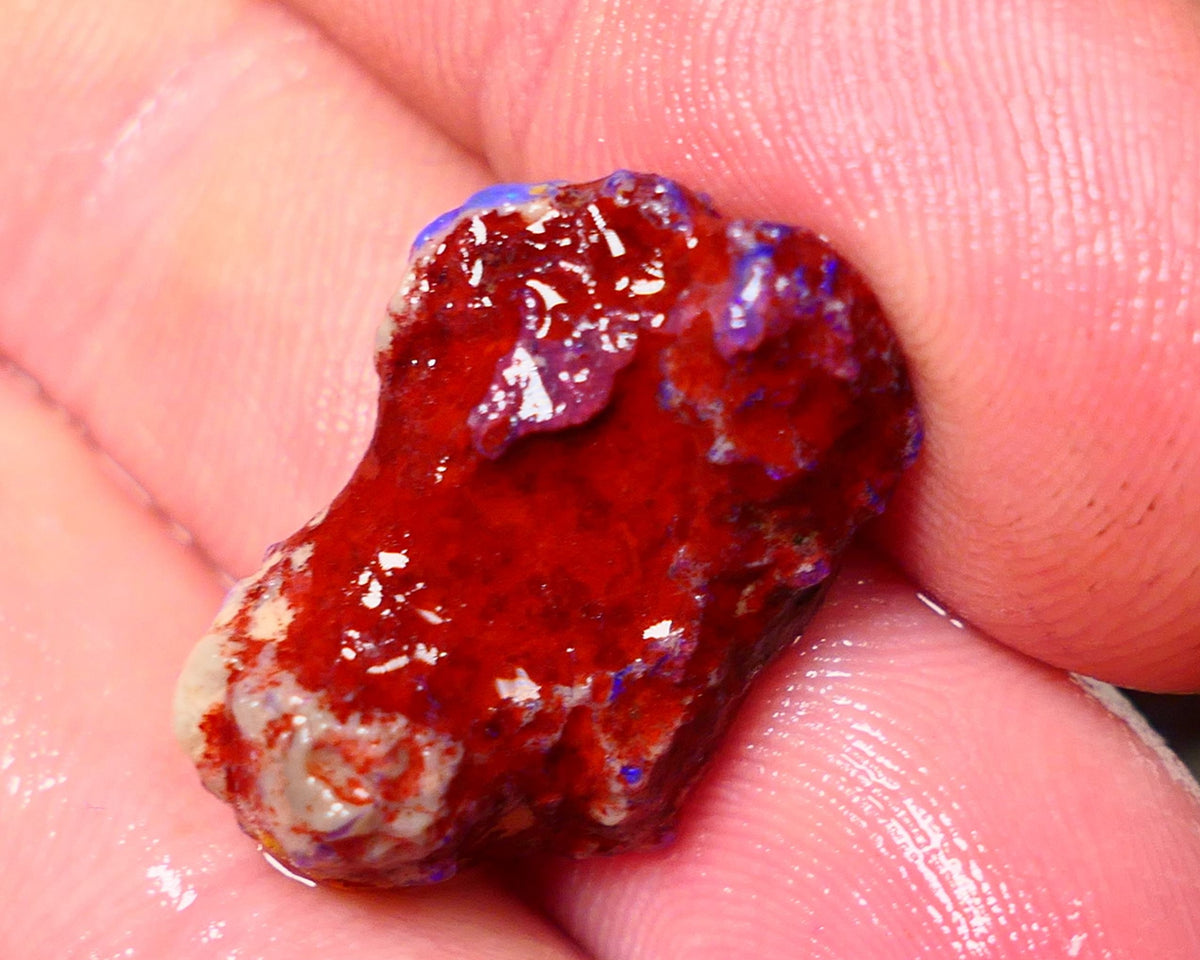 Lightning Ridge Rough Opal 13.50cts Dark Base Gamble Knobby formation Nice blue fires 22x14x8mm Auction NS102