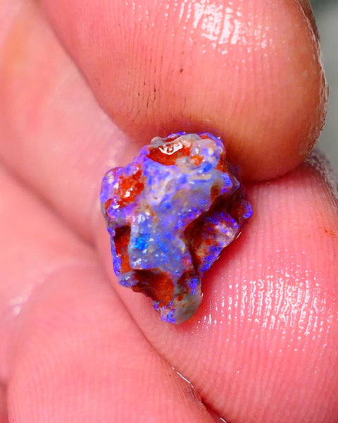 Lightning Ridge Rough Opal 3cts Dark Base Gamble Knobby formation Nice blue fires 11x9x8mm Auction NS101