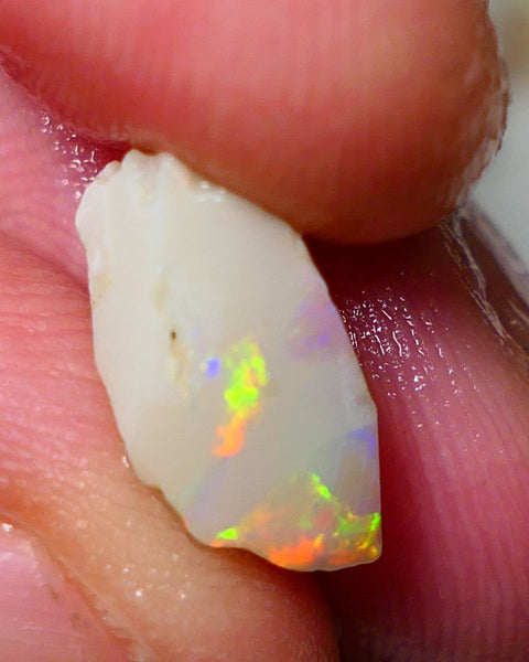 Lightning Ridge Rough / Rub Seam opal Miners Bench® 3.60cts Exotic Bright Yellow/Orange/Red M.Fires 14x7x6mm NS136