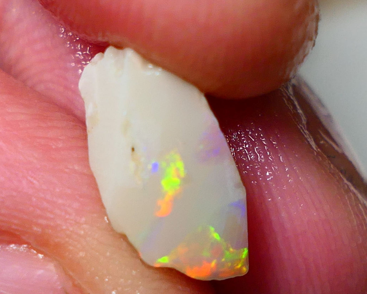 Lightning Ridge Rough / Rub Seam opal Miners Bench® 3.60cts Exotic Bright Yellow/Orange/Red M.Fires 14x7x6mm NS136