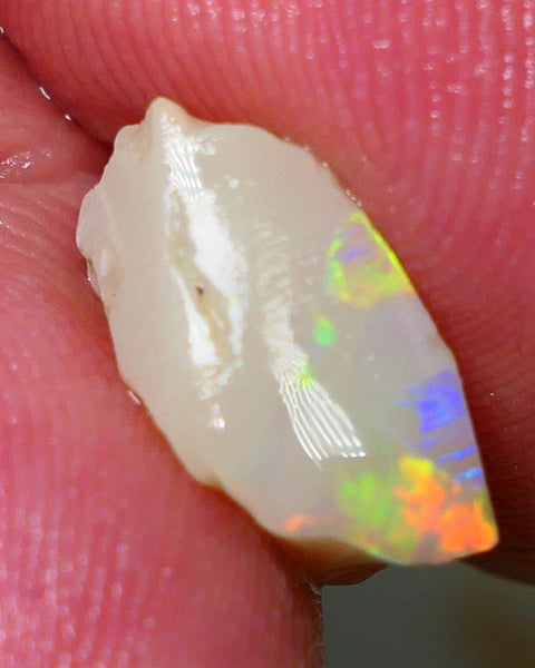 Lightning Ridge Rough / Rub Seam opal Miners Bench® 3.60cts Exotic Bright Yellow/Orange/Red M.Fires 14x7x6mm NS136