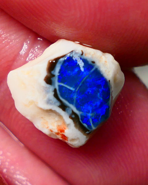 Lightning Ridge Rough / Rub opal Miners Bench® Black Crystal knobby 4.25cts Deep Bright Royal Blue Fires 12x11x5mm NS145